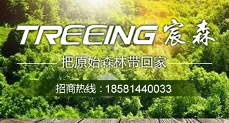 泸州TREEING宸森